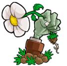 植物大战僵尸 For Mac 1.0.4