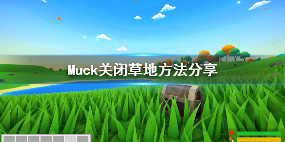 《Muck》怎么隐藏草地？关闭草地方法分享