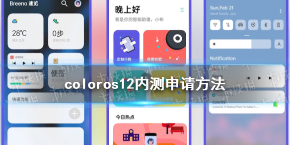 coloros12内测申请方法介绍 coloros12内测怎么申请