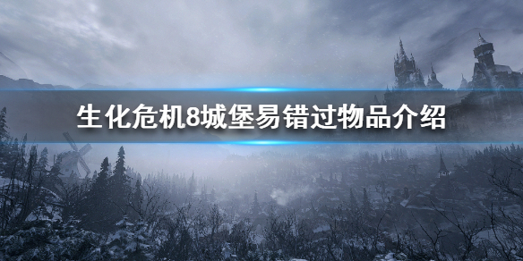 《生化危机8》有哪些物品容易错过？城堡易错过物品介绍