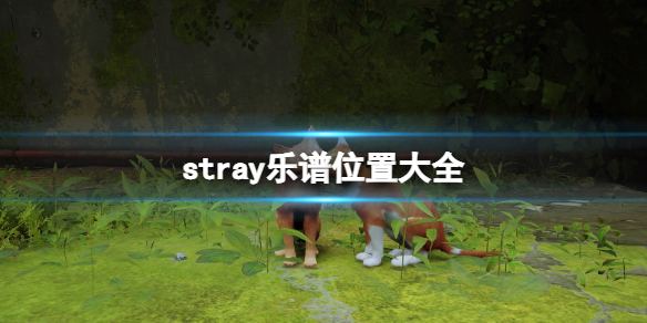 《迷失》stray乐谱有什么用？乐谱位置大全