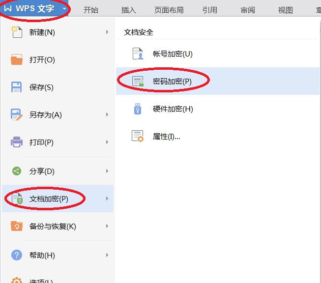 wps文档怎么设置密码保护？