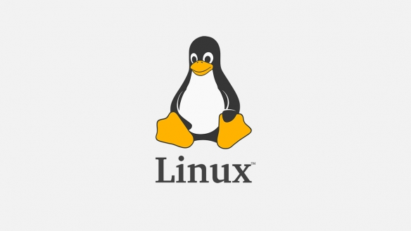 Linux能玩Windows游戏了！NV启用GPU虚拟机直通