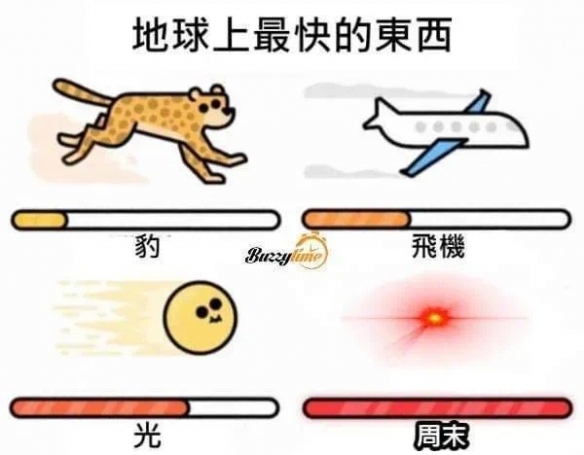 这是地球上最快的东西 囧图 大哥背后纹熊二是个狠人