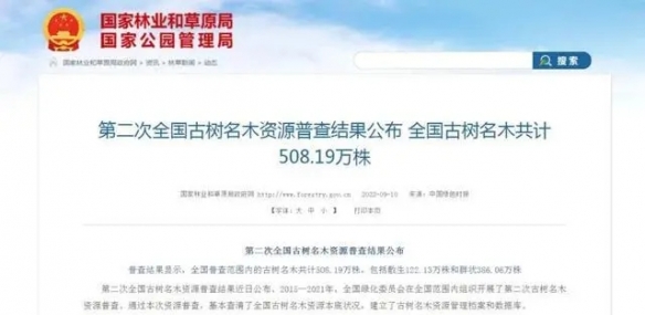 全国仅有5株5000岁古树 其中一株为黄帝亲手所植！