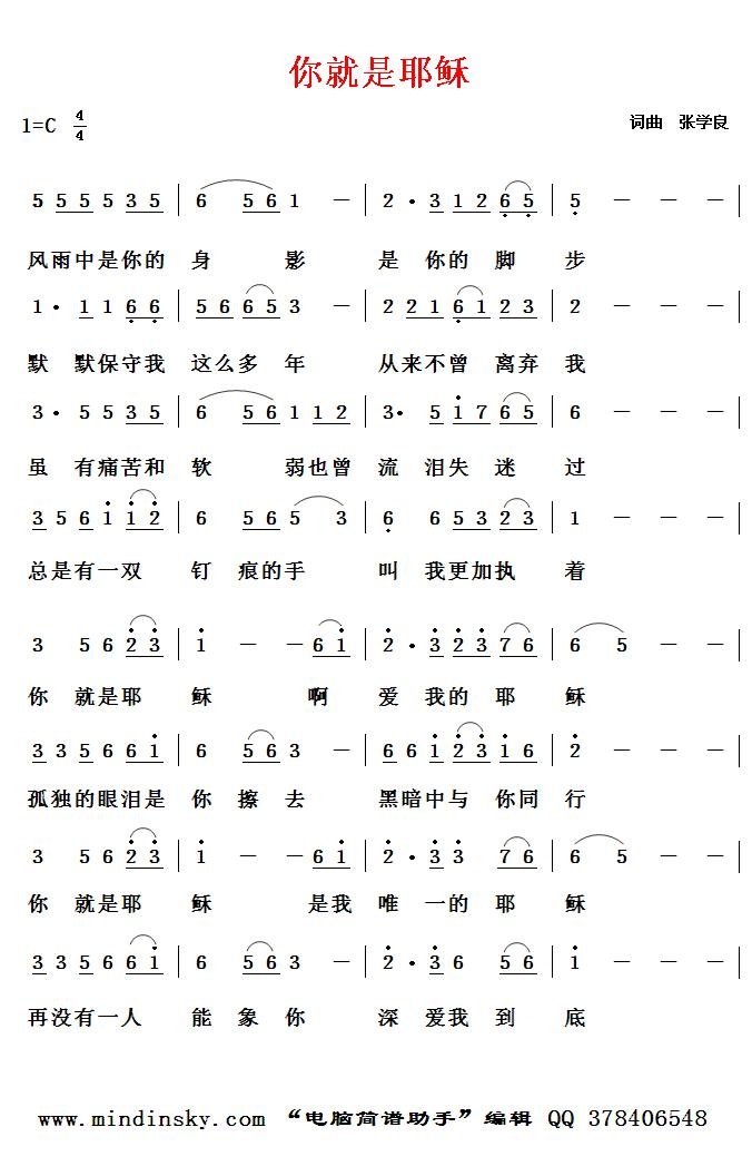 电脑简谱助手 8.4软件截图（3）