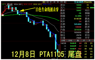 蓝筹生命日内期货软件 3.31软件截图（21）