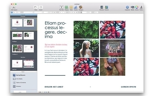 Templates iBooks Author For Mac 2.3软件截图（2）