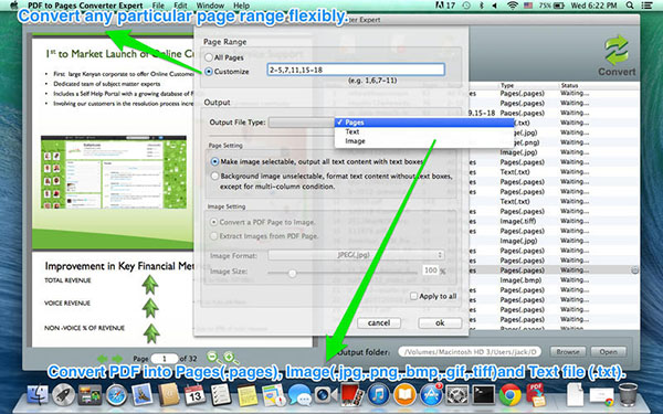 PDF to Pages Converter Expert For Mac 2.5.0软件截图（2）