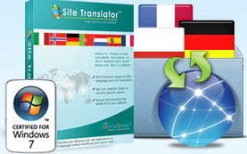 Deskshare Site Translator 4.08 正式版软件截图（1）