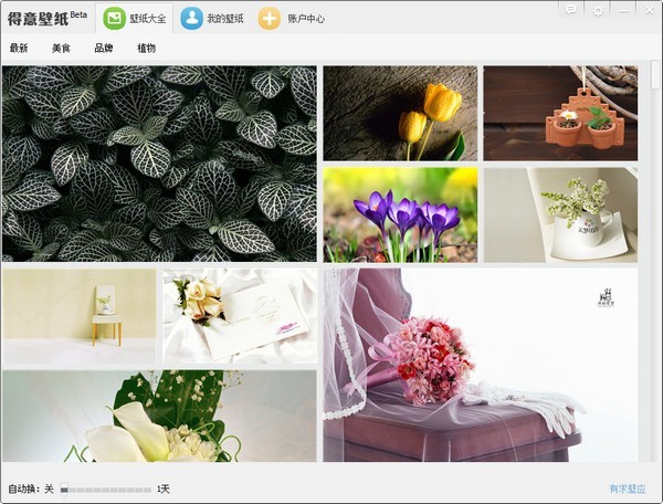 得意壁纸 1.0.0.41软件截图（2）