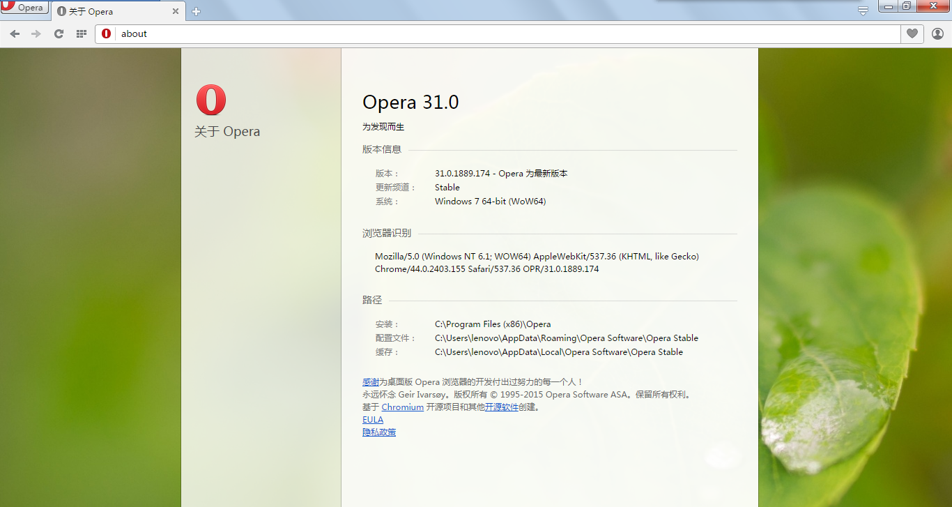 Opera浏览器 88.0.4395软件截图（3）