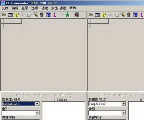 dbc2000数据库 中文版软件截图（2）