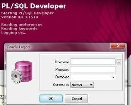 PL/SQL Developer 13.0.1软件截图（3）