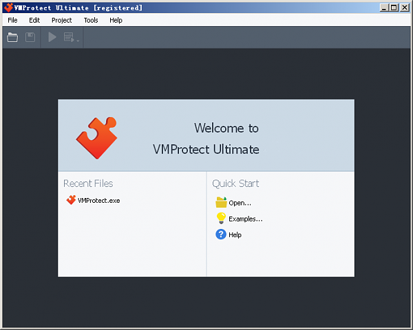 VMProtect 3.0.6软件截图（1）