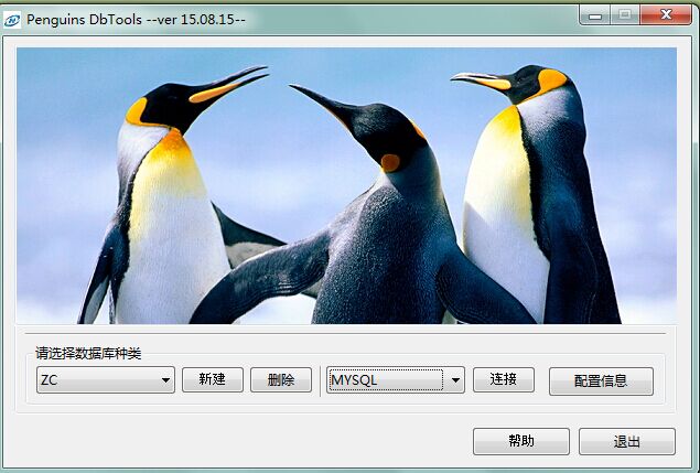 Penguins DbTools 17.01.21软件截图（1）