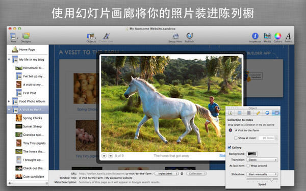 sandvox For Mac 2.10.7软件截图（1）