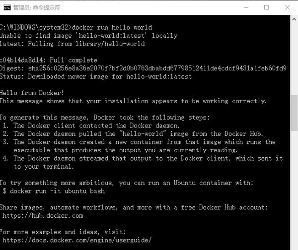 Docker for Windows 10软件截图（1）