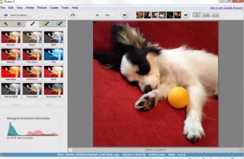 Google Picasa 3.9 中文版软件截图（1）