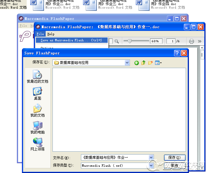 FlashPaper 2.2软件截图（1）