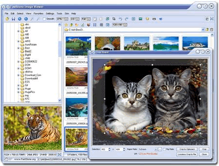 FastStone Image Viewer 3.9 汉化版软件截图（1）