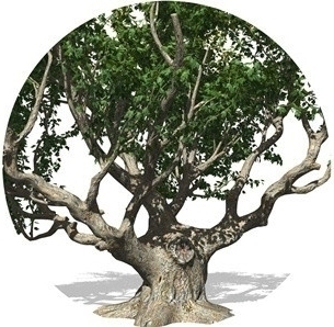 SpeedTree 7.0