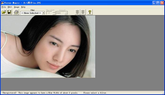 Focus Magic数码相片修复 4.02软件截图（3）