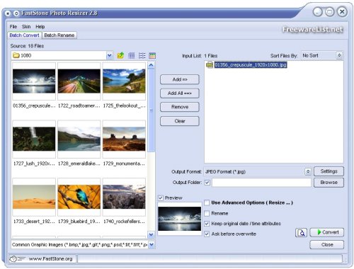 FastStone Photo Resizer 4.3软件截图（4）