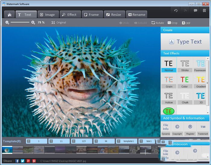 Mytoolsoft Watermark Software 2.8.0软件截图（2）