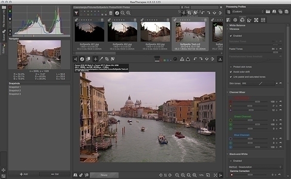 RawTherapee For Mac 4.2.753软件截图（3）