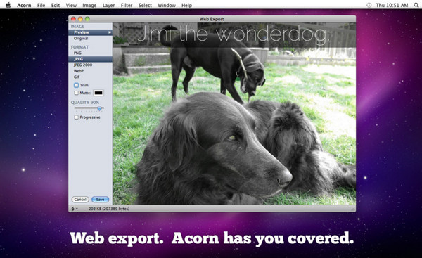 Acorn For Mac 5.6.3软件截图（1）