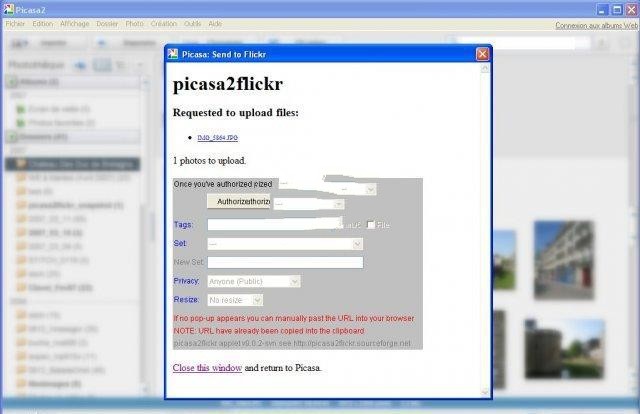 Picasa2Flickr 0.0.1软件截图（1）