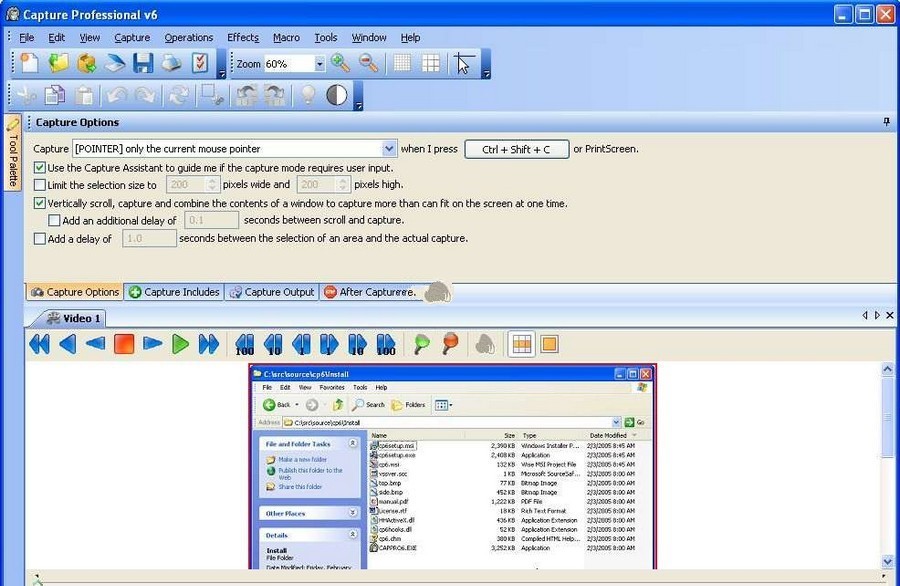 Capture Professional 6.03b软件截图（1）