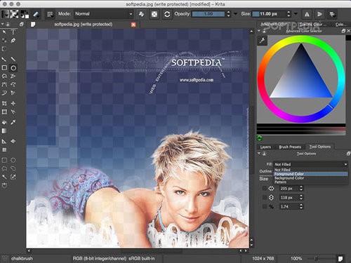 Krita Mac版 4.4.3软件截图（1）