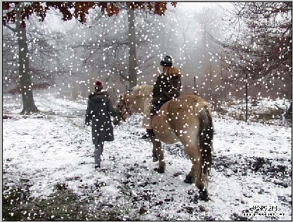 Snowflks雪花效果滤镜软件截图（1）