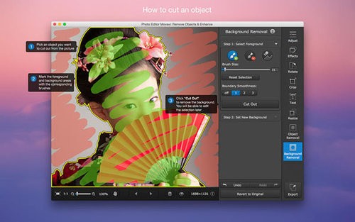 Photo Editor Movavi Mac版 5.8软件截图（2）