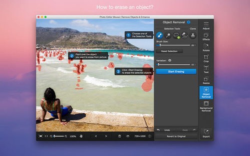 Photo Editor Movavi Mac版 5.8软件截图（4）