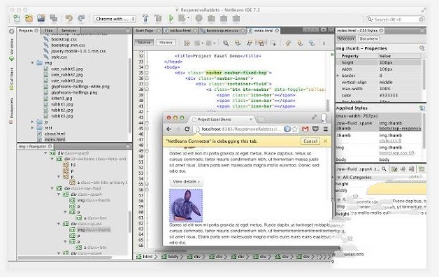 Chrome NetBeans IDE开发插件 1.1.2软件截图（1）