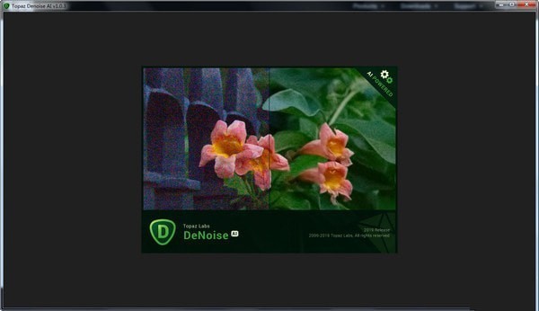 Topaz DeNoise AI(AI图片降噪软件) 3.5.0软件截图（2）