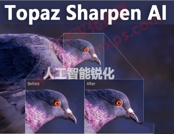 Topaz Sharpen AI人工智能清晰锐化软件 1.1.3软件截图（2）