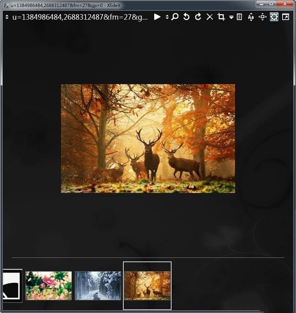 Xlideit Image Viewer图片查看器 1.0软件截图（1）