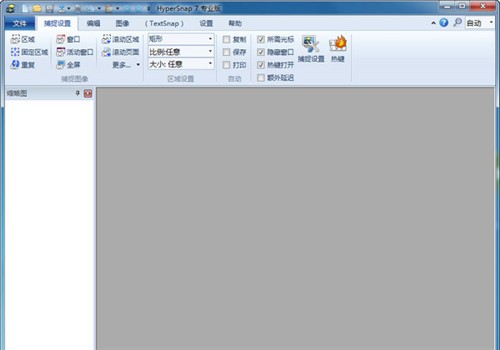 HyperSnap 8.24软件截图（2）
