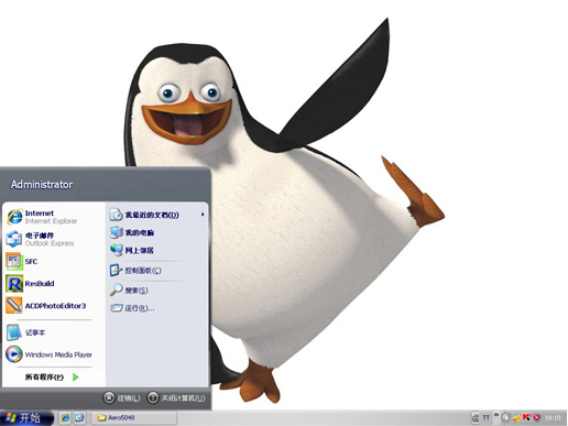 可爱企鹅主题 xp版软件截图（1）