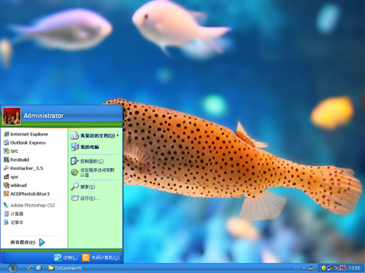 可爱鱼儿主题 XP版软件截图（1）