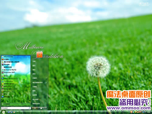 蒲公英花语电脑桌面主题 XP/VISTA/WIN7版软件截图（3）