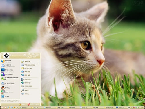 灵气猫咪电脑主题 XP版软件截图（1）