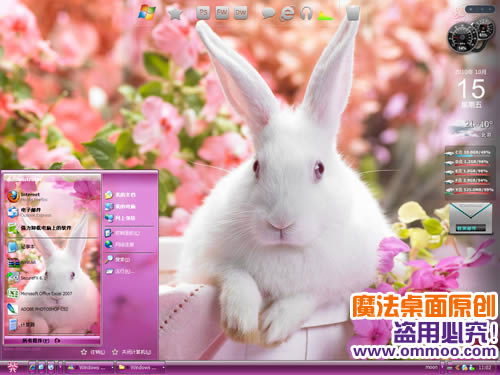 花园里的彼得兔电脑桌面主题 XP/VISTA/WIN7版软件截图（1）