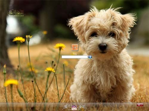 超可爱狗狗XP仿vista桌面主题 XP版软件截图（2）