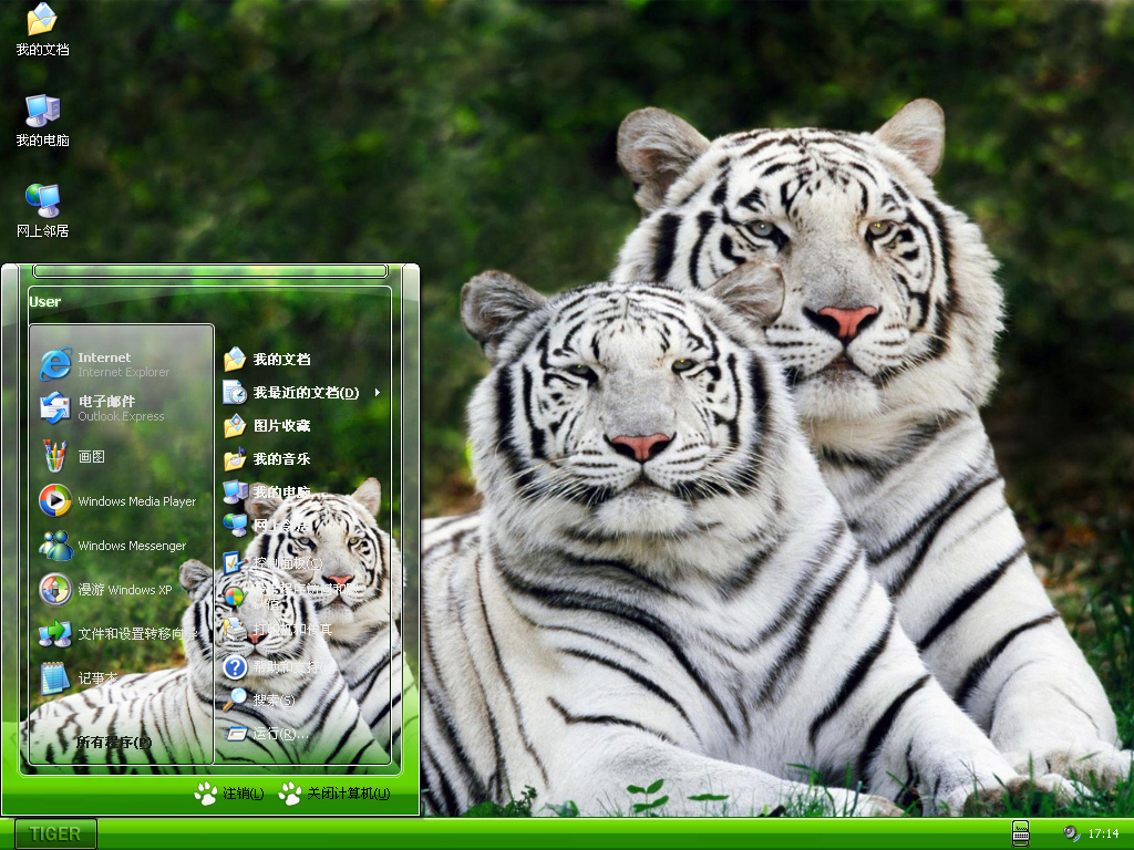 惊异白色老虎Tiger主题 XP/VISTA/WIN7通用版软件截图（3）