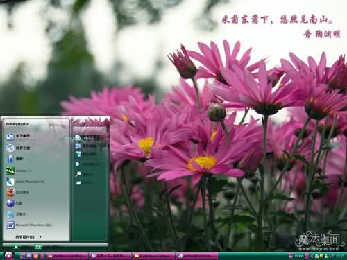 秋菊主题 XP/VISTA/WIN7版软件截图（1）